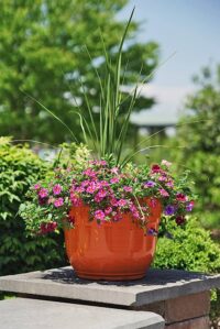 Richardson Landscaping photo 5